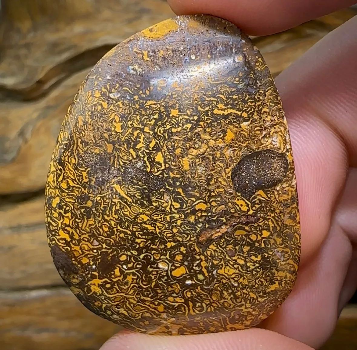 128.7cts - Yowah Nut Opal. Tribal Framed Crystal Centre Amazing Pattern