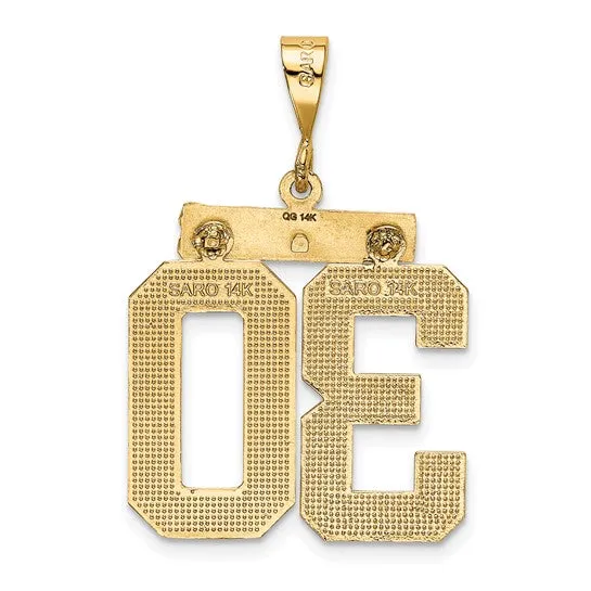 14k Yellow Gold Polished Diamond Cut Finish Small Size Number 30 Charm Pendant