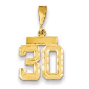 14k Yellow Gold Polished Diamond Cut Finish Small Size Number 30 Charm Pendant