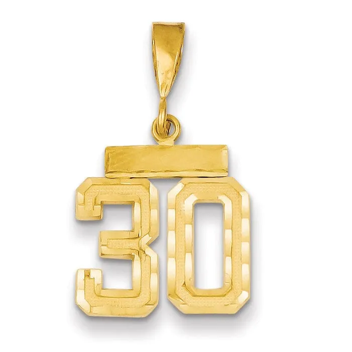 14k Yellow Gold Polished Diamond Cut Finish Small Size Number 30 Charm Pendant