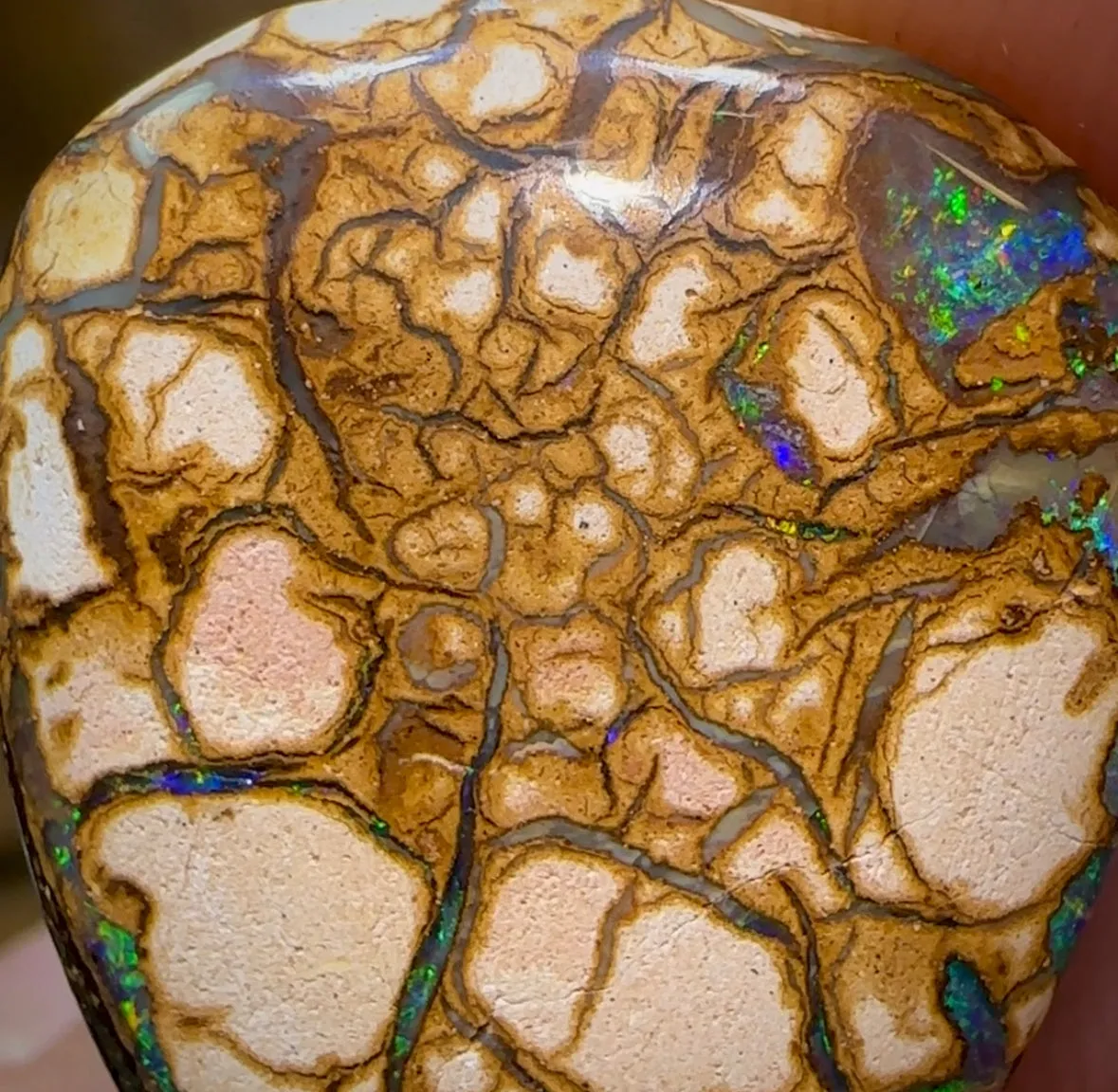20.8cts - Yowah Nut. White Porcelain Tribal Pattern. Australian Opal