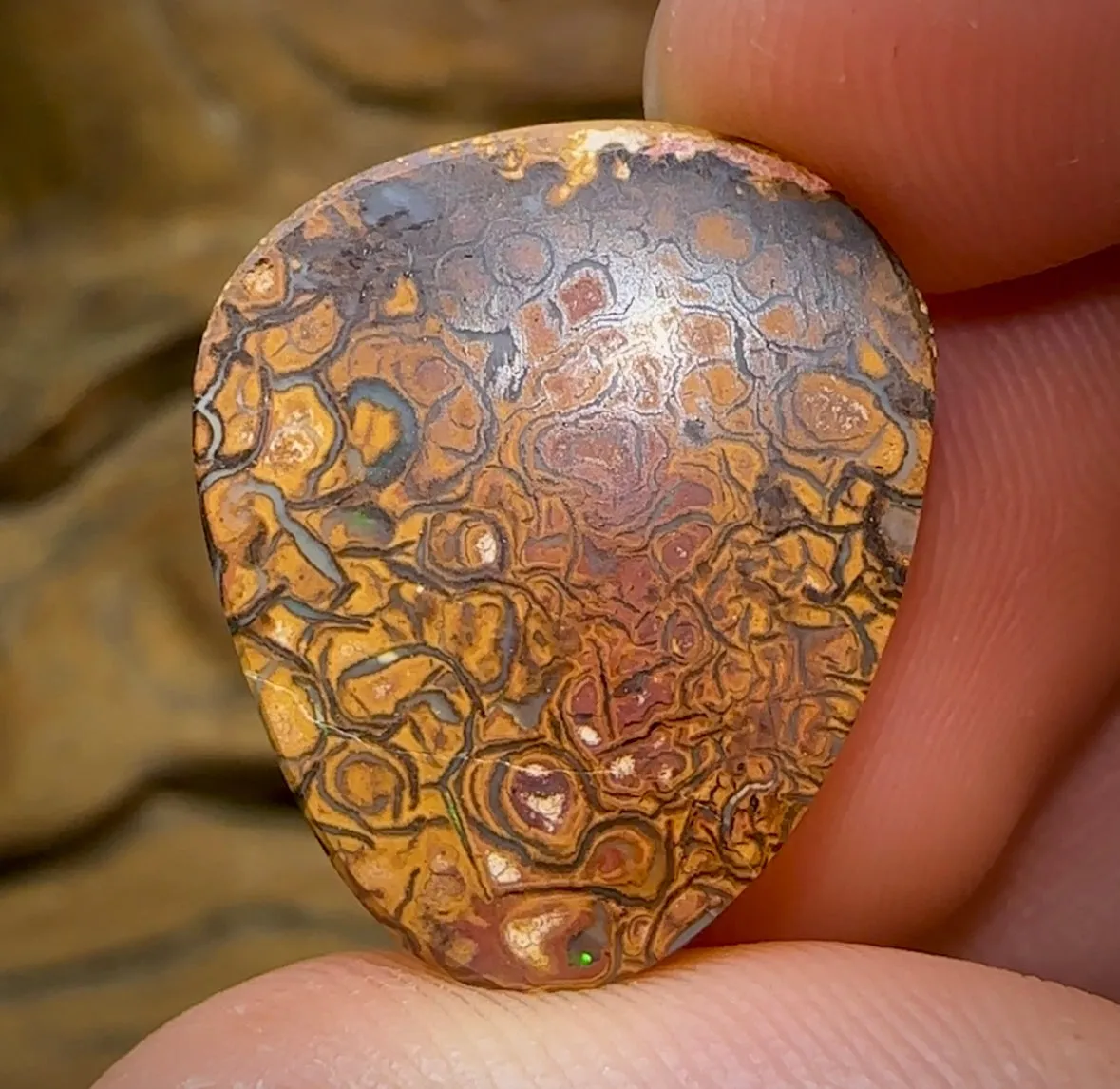 20.8cts - Yowah Nut. White Porcelain Tribal Pattern. Australian Opal