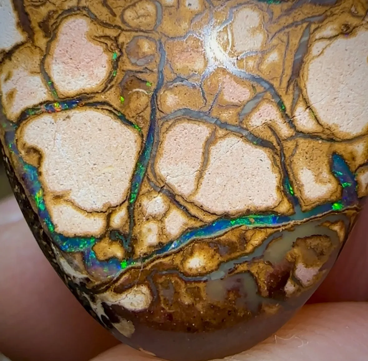 20.8cts - Yowah Nut. White Porcelain Tribal Pattern. Australian Opal
