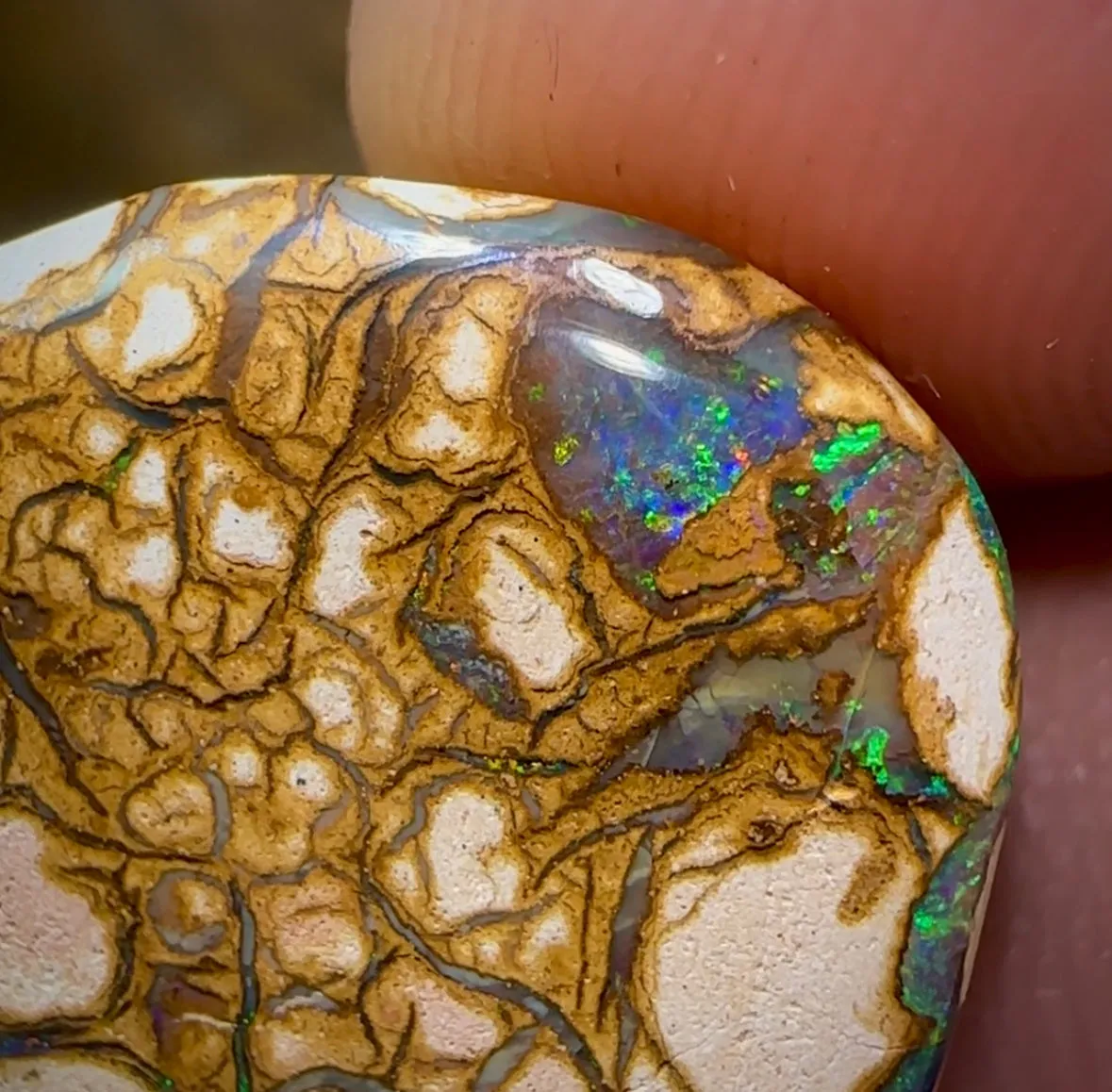 20.8cts - Yowah Nut. White Porcelain Tribal Pattern. Australian Opal