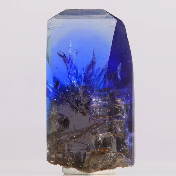 51.31ct Amazing Unheated Tanzanite Crystal with Spectacular Termination
