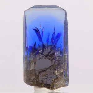 51.31ct Amazing Unheated Tanzanite Crystal with Spectacular Termination