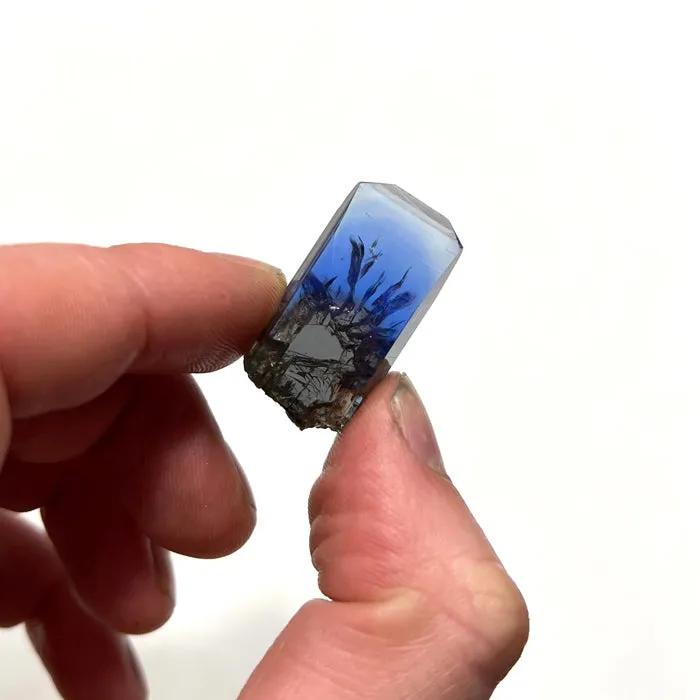 51.31ct Amazing Unheated Tanzanite Crystal with Spectacular Termination