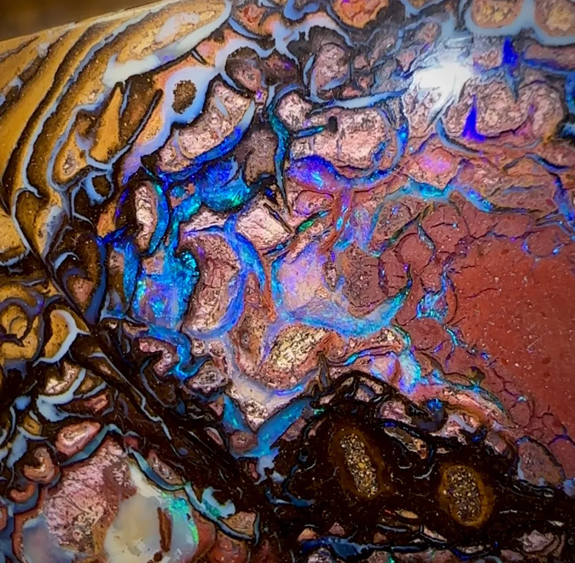 79.1cts - Large Yowah Nut Tribal Opal segmented landscape Pattern