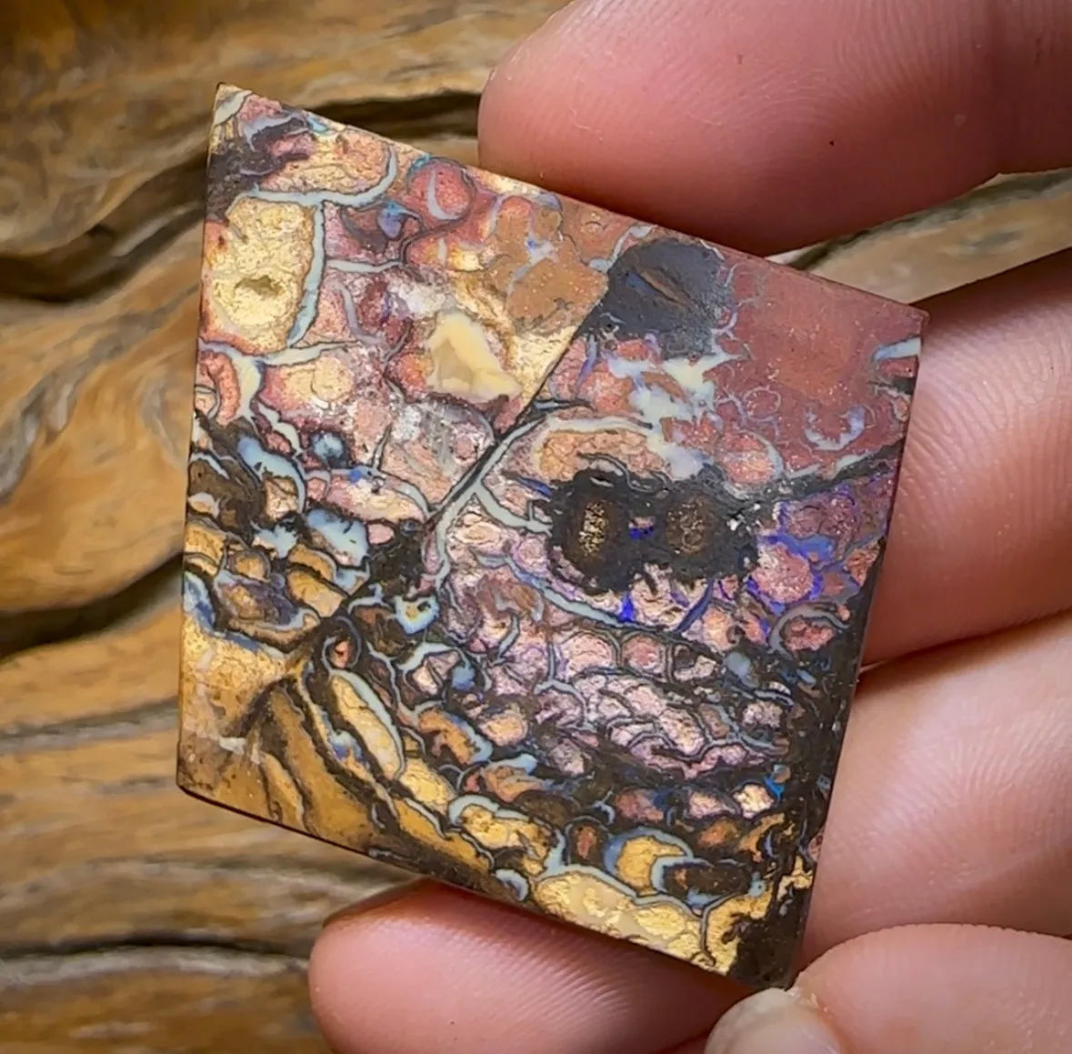 79.1cts - Large Yowah Nut Tribal Opal segmented landscape Pattern
