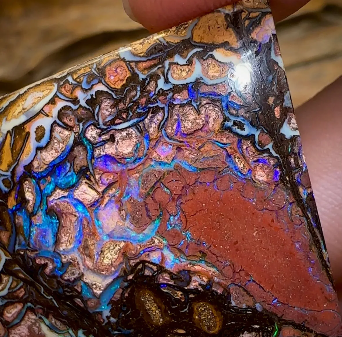 79.1cts - Large Yowah Nut Tribal Opal segmented landscape Pattern