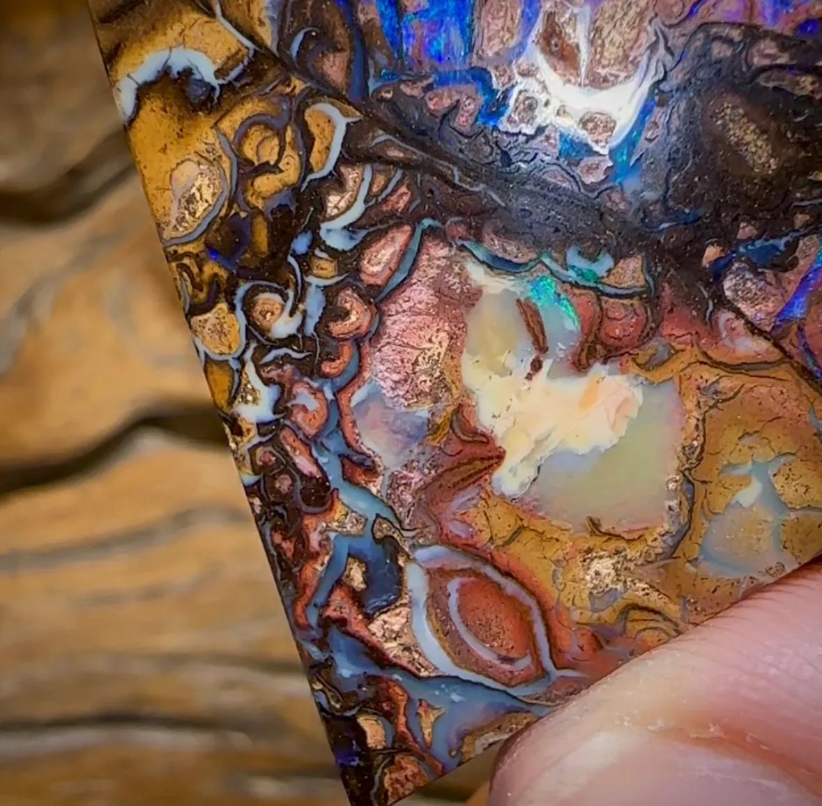 79.1cts - Large Yowah Nut Tribal Opal segmented landscape Pattern