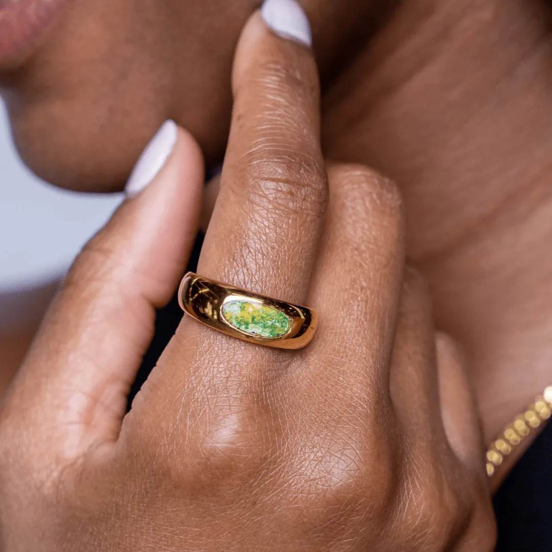 Ashley Ring | Gold | Size 6