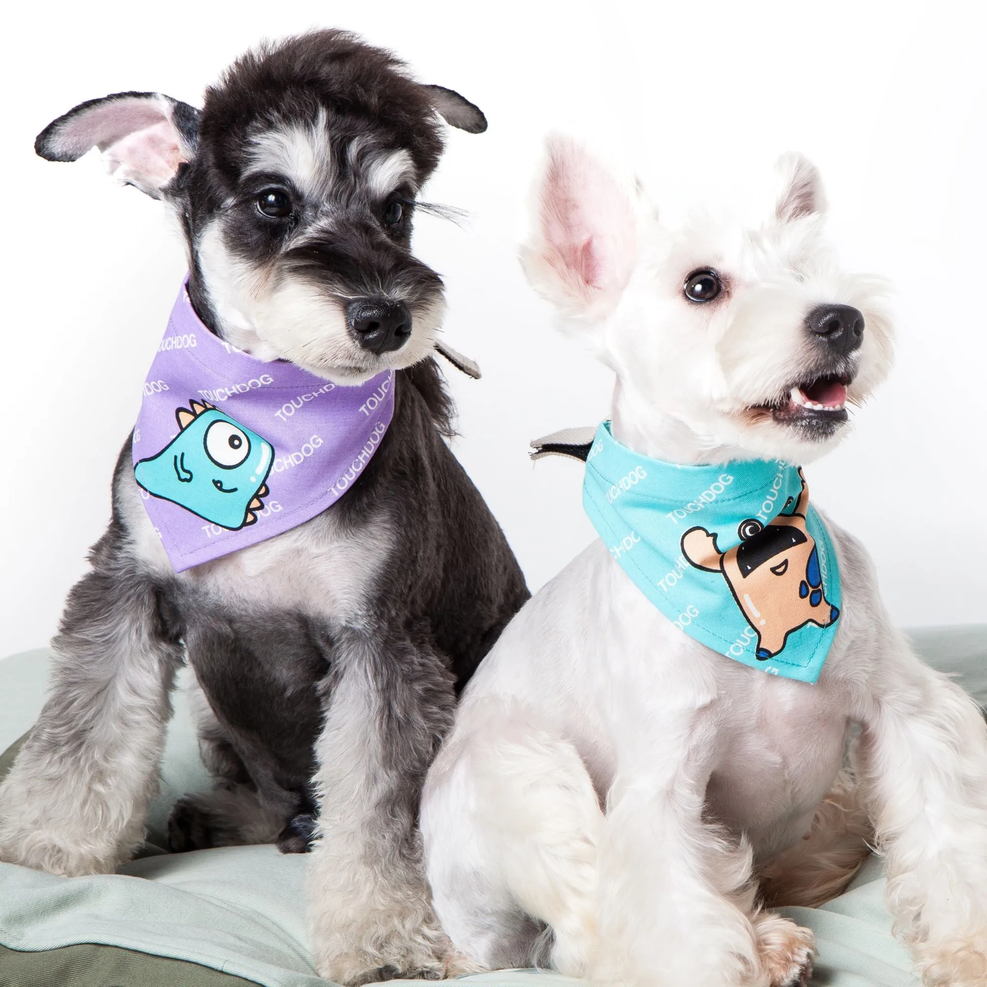Fashionable dog bandana with Velcro closure and stylish print Extras