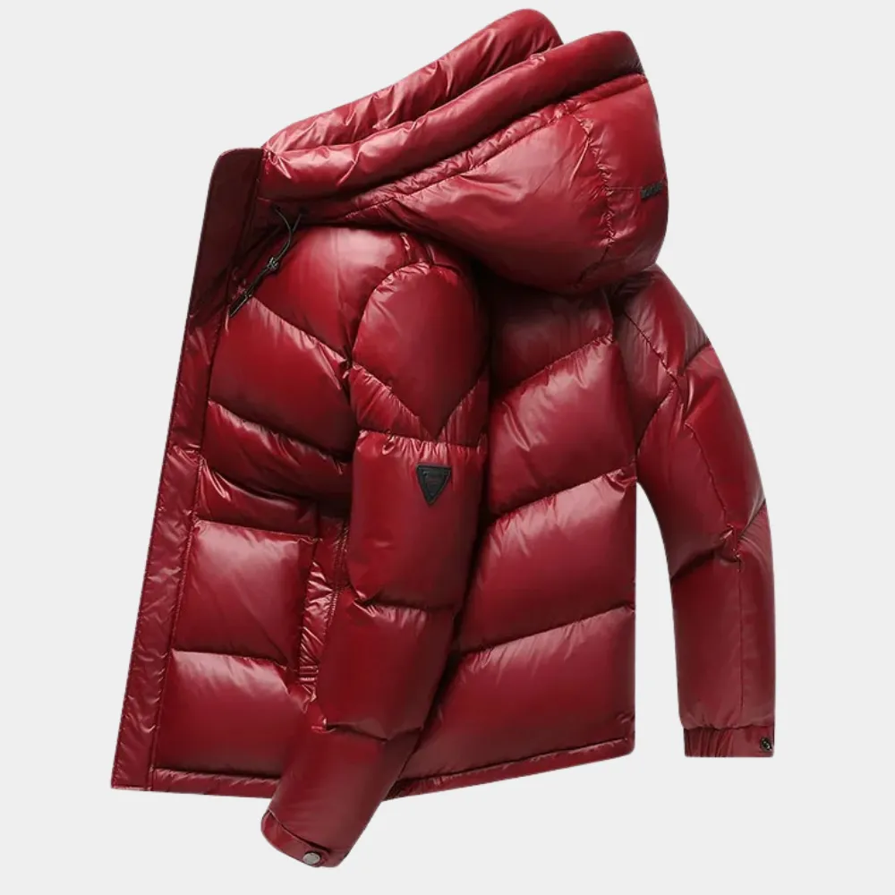 Hackl | Stylish Men's Winter Jacket