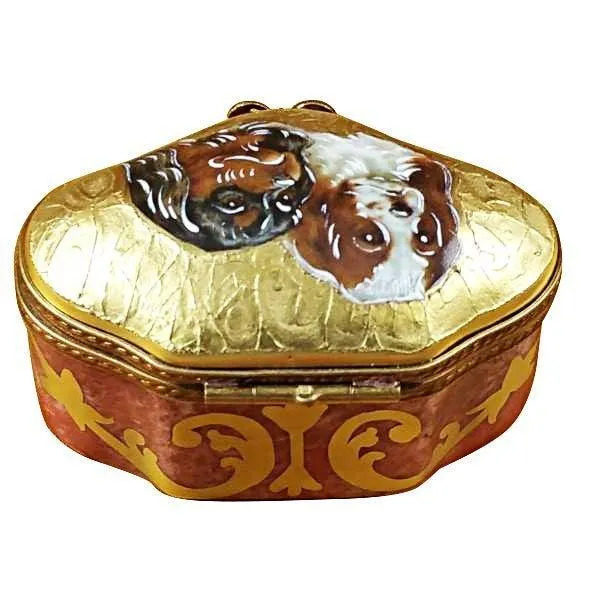King Charles Spaniels Dog