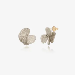 La D.D Gold Earring JDDEN5S024S