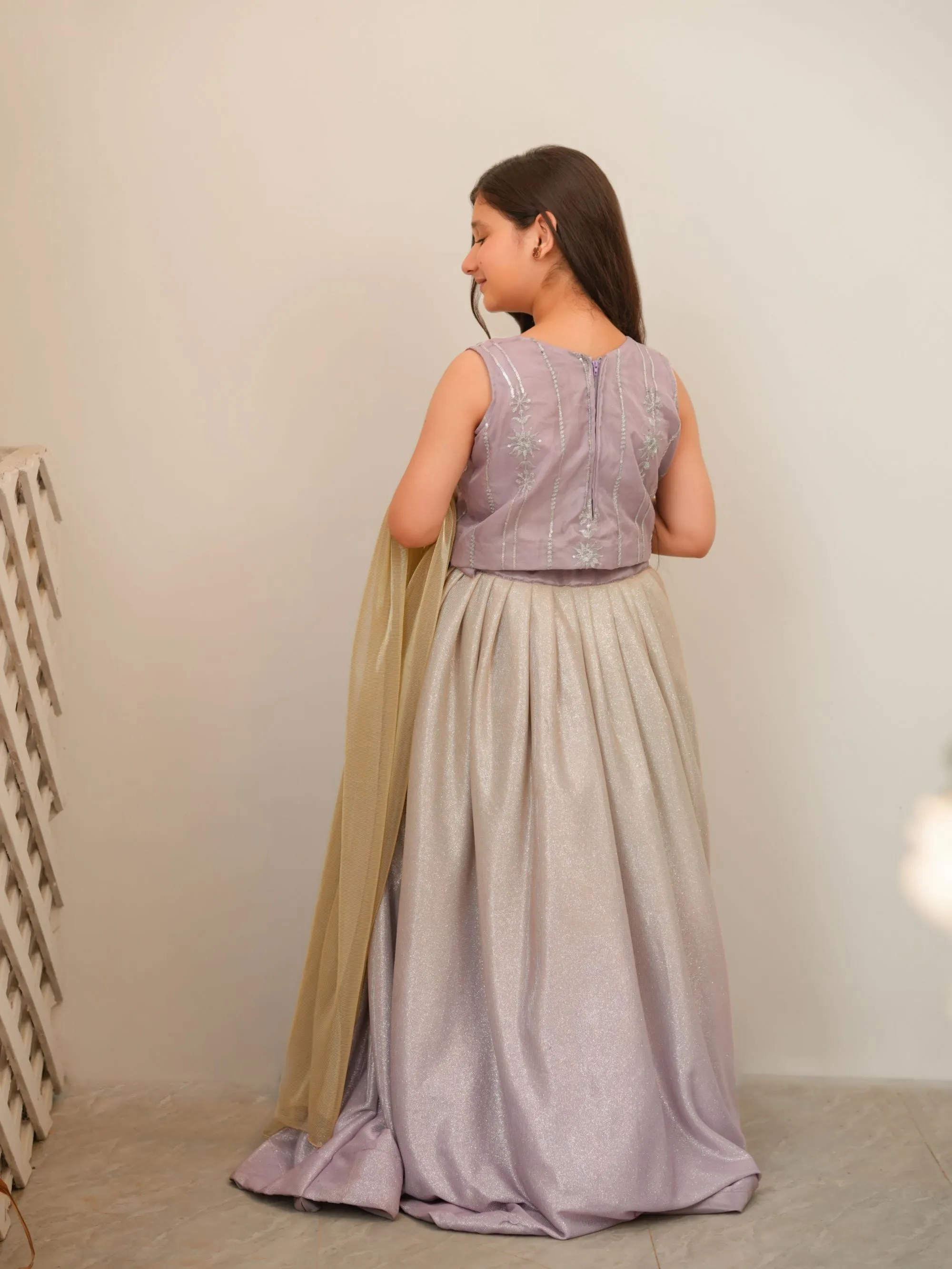 Moonlight Lehnga Choli