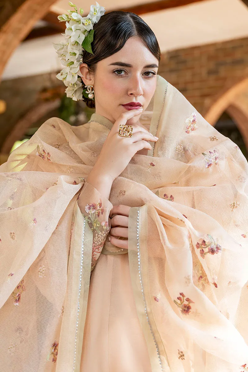 MUSHQ | LUXURY PRET PRINTED ORGANZA'23 | SHOW ORCHID