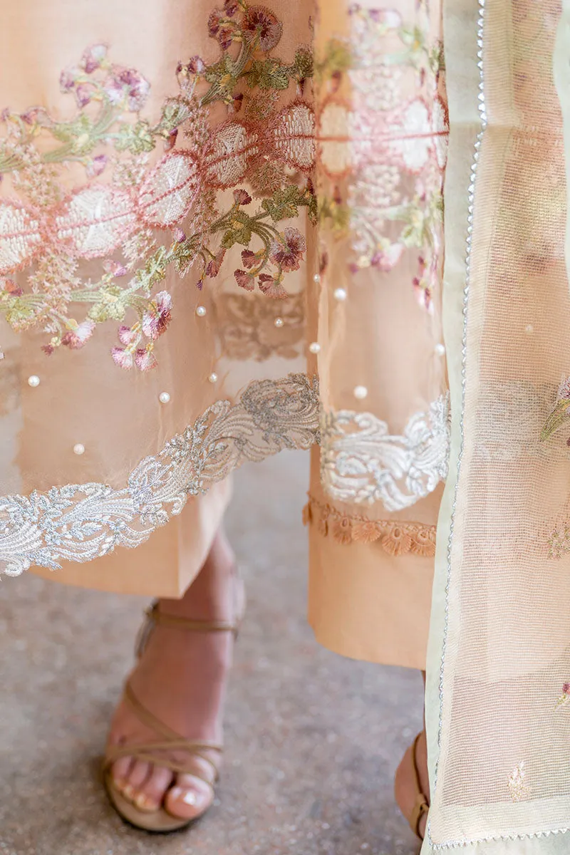 MUSHQ | LUXURY PRET PRINTED ORGANZA'23 | SHOW ORCHID
