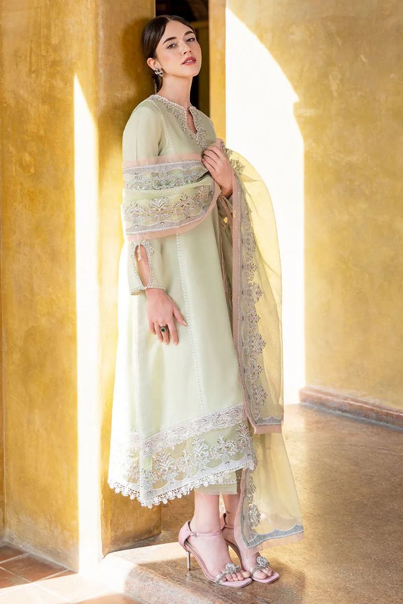 MUSHQ | LUXURY PRET PRINTED ORGANZA'23 | VIVA GLAM