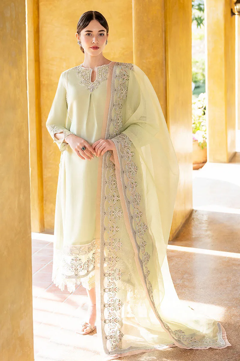 MUSHQ | LUXURY PRET PRINTED ORGANZA'23 | VIVA GLAM