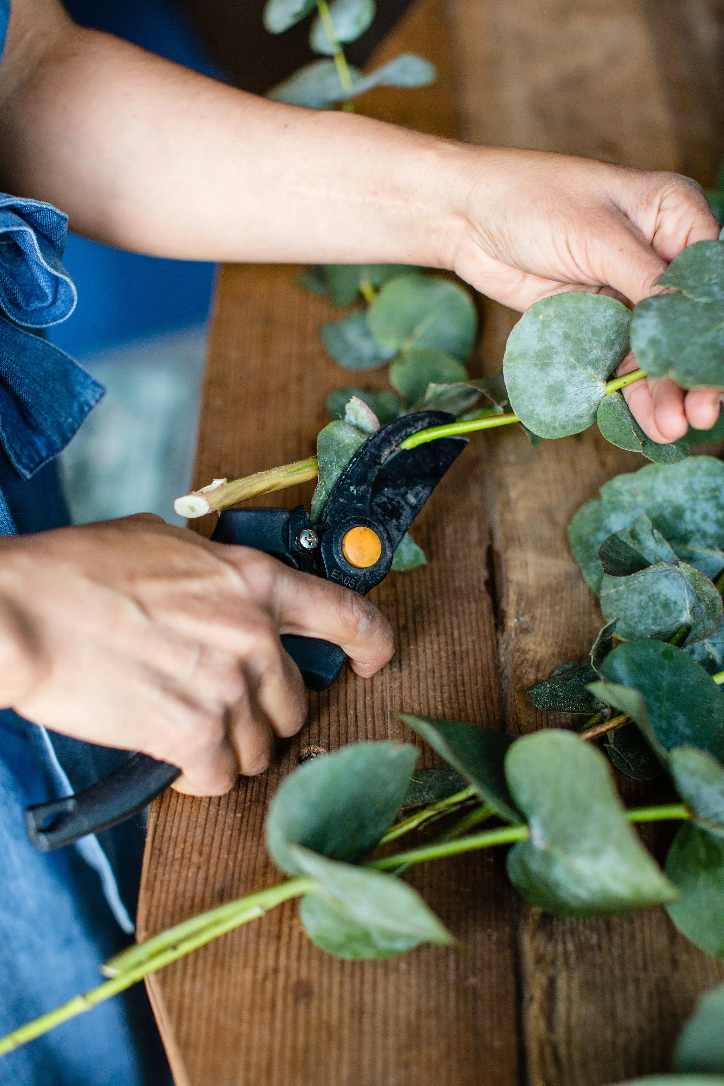 One on One Floral Design Education, Beginning to Intermediate (You Schedule It)