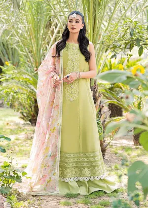 Pakistani Green Net Organza Salwar Kameez Dupatta Suit