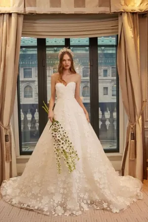 Ready To Shine with Veil