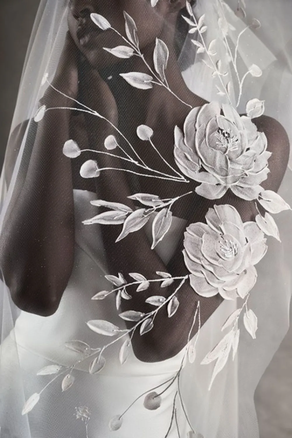 Ready To Shine with Veil
