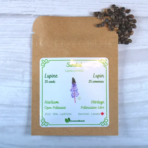 Sundial Lupine Seeds