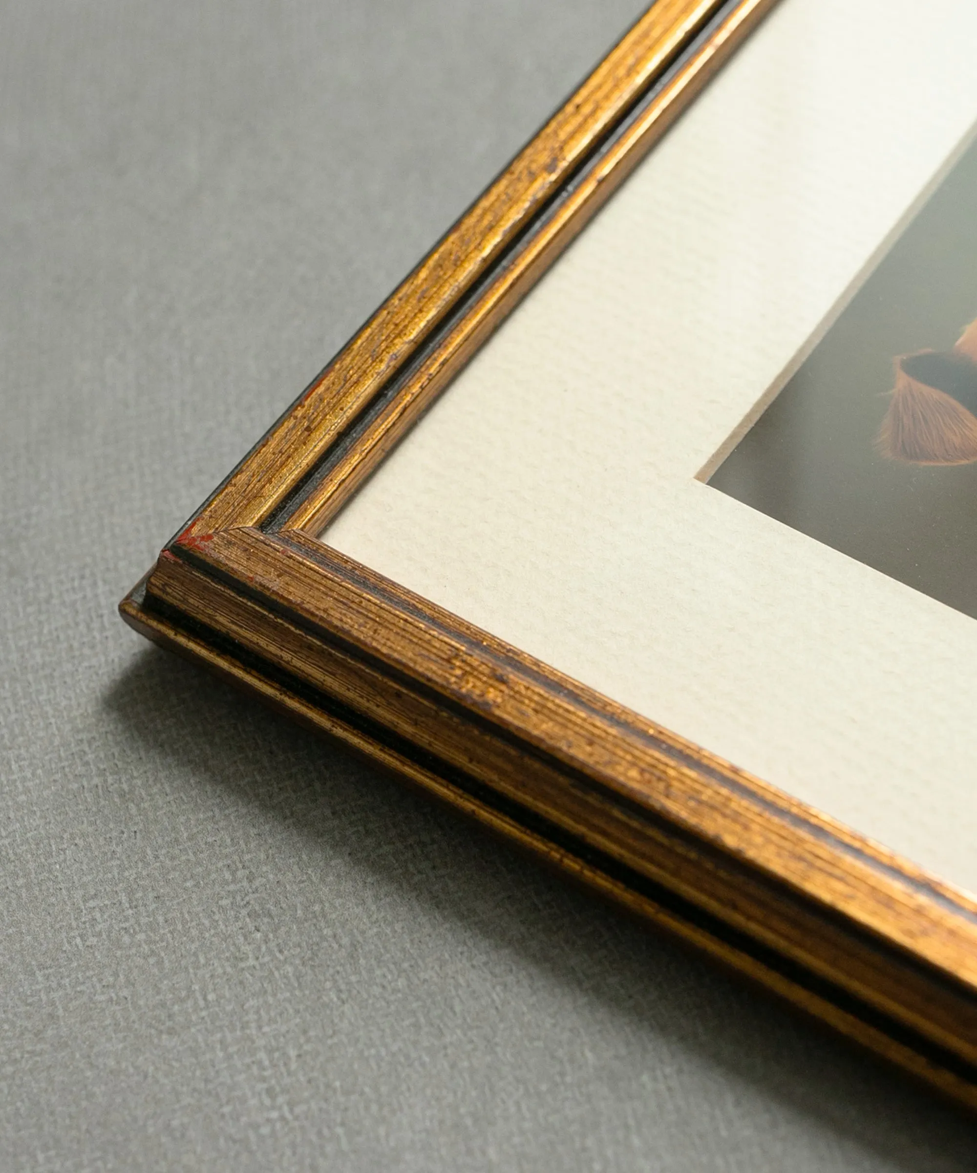 Vintage Frame with Jack Russell Print